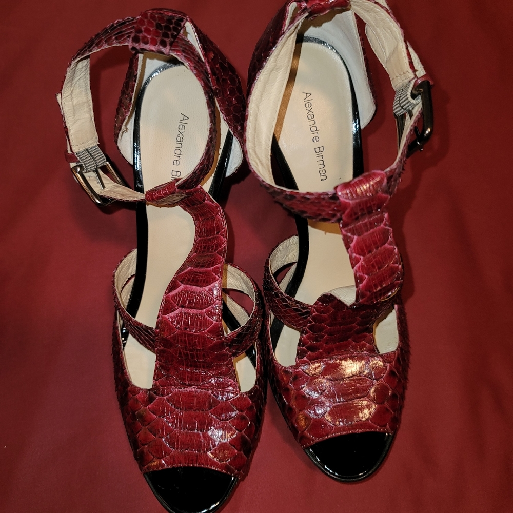 Alexandre Birman Natural Python High Heels (Size … - image 4